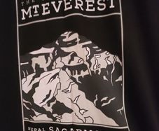 The North Face Mt Everest T shirt L New