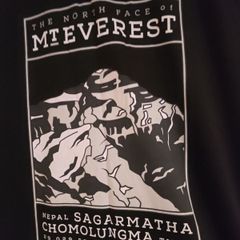 The North Face Mt Everest T shirt L New