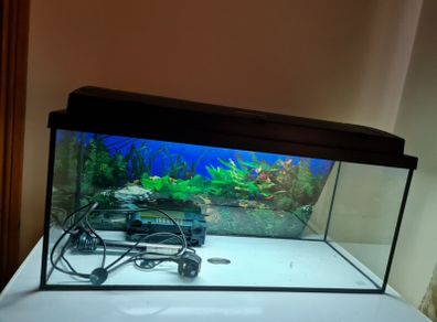Fish Tank