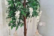 Decorative Trees for Hire
