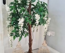 Decorative Trees for Hire