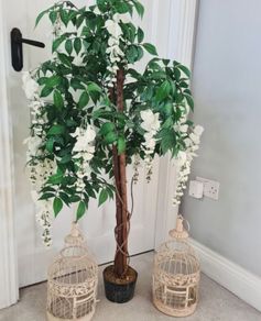 Decorative Trees for Hire