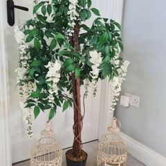 Decorative Trees for Hire