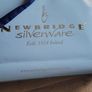 Newbridge Champagne Flutes Image 5