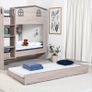 New Kids Bunks Single and Small double Image 8