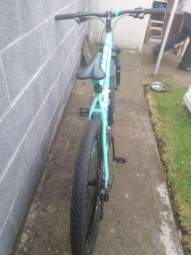 ladies bike