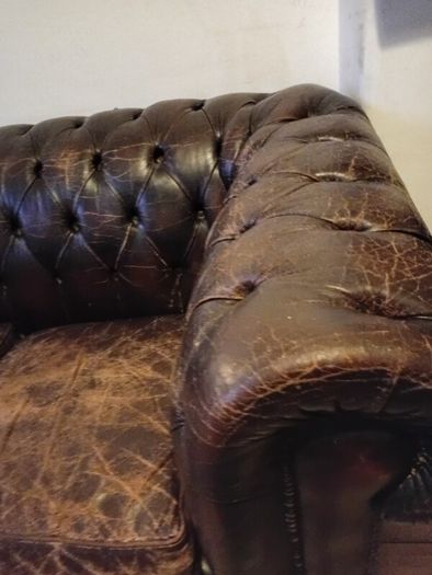 antique chesterfield in rare cigar brown