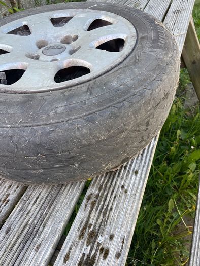 audi wheel