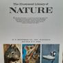 Vintage 'Illustrated Library of Nature' Volume 1, 2 & 3 Image 6
