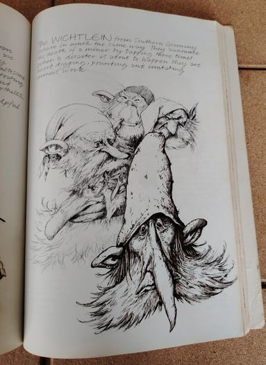 Vintage 1979 Faeries Book - Alan Lee Cover Variant (Pan Books First Printing)