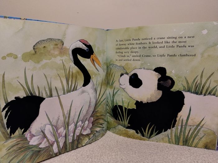 Little Panda, A Soft To Touch large Hardback Book