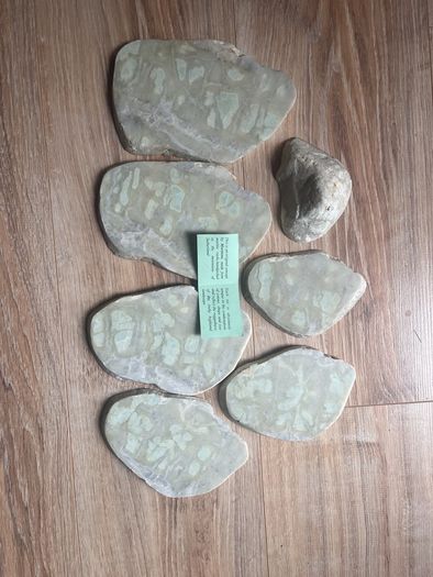 Coasters