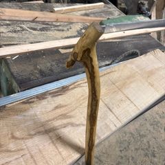 Irish walking stick