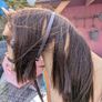 Our generation wooden Stable with horse and Our generation Doll Image 8