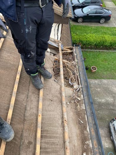 Roof Repairs Dublin | Emergency Roofer | Gutters, New Roofs | ALX Premium Roofing