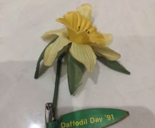 Vintage Daffodil Day '91 flower