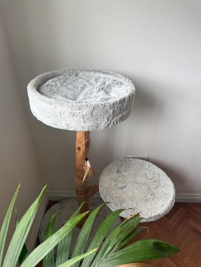 Cat tree : cat bed