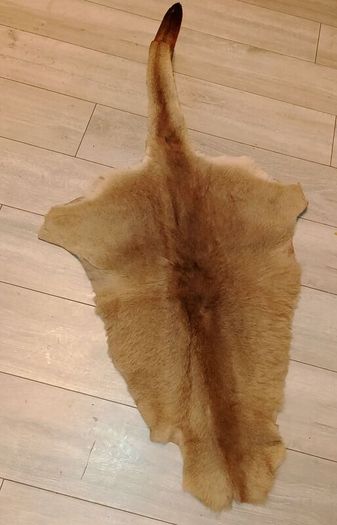 Kangaroo pelt 150cm