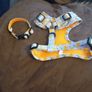 dog collar and harness Image 6