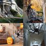 Halloween Giant Spider Decorations 150cm Halloween Decorations Outdoor Halloween Large Spider with Halloween Spider Web (60g) Giant Halloween Spider for Halloween Image 3