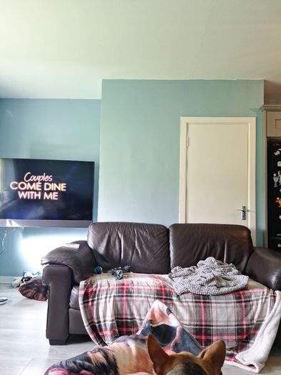 free leather  sofa