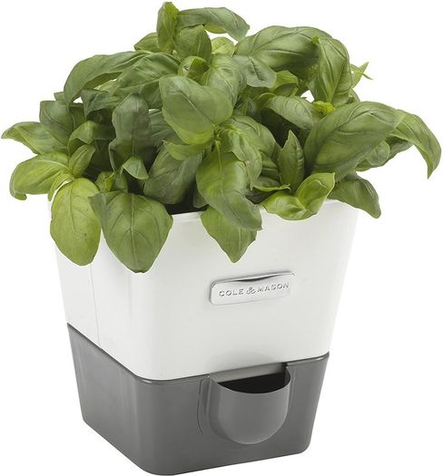 Self-Watering Potted Herb Keeper