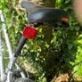 Origin Mountain Bike Shimano Equipped Image 6
