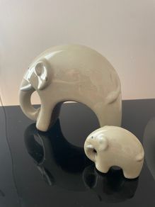 Mother and a baby Elephant