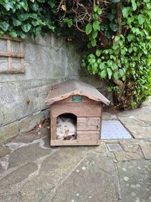 dog kennels