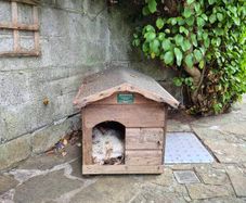 dog kennels
