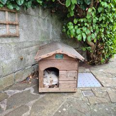 dog kennels