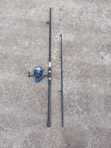 Fishing rod with reel