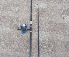 Fishing rod with reel