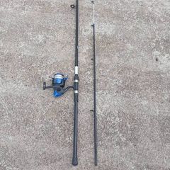 Fishing rod with reel