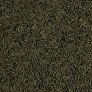 Tropical Crusta Sticks 250ml Image 2