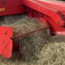 Square bales hay Image 3