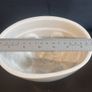 Fabulous Antique Early Victorian Heavy Ironstone Jelly/Blancmange Mould, Oval in Shape, Plain on the Outside, Highly Decorative on the Inside, Unknown Maker, Circa 1850 Image 10