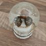 Boy Angel Snowglobe Image 2