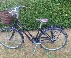 Giant Liv Ladies bike