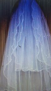 2 Tier Sequined and Crystal Elbow length Veil
