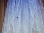 2 Tier Sequined and Crystal Elbow length Veil