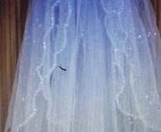 2 Tier Sequined and Crystal Elbow length Veil