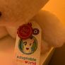 Teddy - Keel Image 3