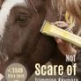 Professional Horse Clippers for All Coat Types Rooming Kit with scissors/steel comb Image 4