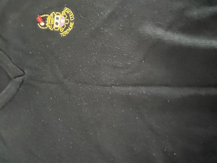 Terenure College senior jumper