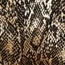 Women's Trousers Gallery NWOT SIZE 14 Image 3