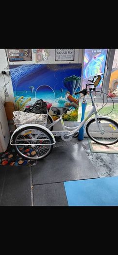 2 adult trike bikes for sale