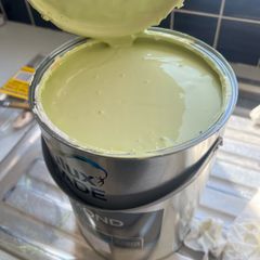 Dulux pistachio paint