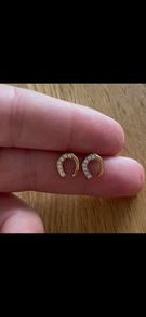 Stainless steel earrings