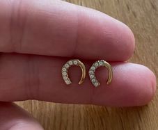 Stainless steel earrings